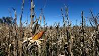 Changing weather patterns threaten crop yields: Expert