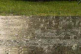 Farms across Kouga Municipality hit by severe floods