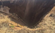 Task team promised to fix sinkholes in Gauteng remains a dream: DA