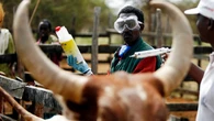SA adopts new approach to deal with foot and mouth disease