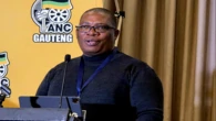 Lesufi laments large number of undocumented foreigners in Gauteng