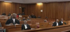 State in Meyiwa trial challenges defence’s ‘hired gun’ allegation