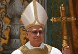 Pope Leo XIV must continue progressive inputs of Pope Francis: Lamola
