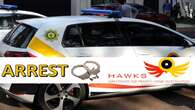 Hawks arrest 8 suspects in R4 billion alleged diamond investment scam