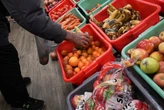 New study reveals deepening food insecurity crisis in South Africa