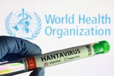 Tenerife airport prepares for repatriation flights of Hantavirus-hit