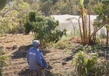 Mahlathini Foundation helps Sekororo farmers grow organic crops