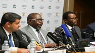Africa must become self-sufficient: Godongwana