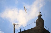 White smoke billows from Sistine Chapel as new Pope elected