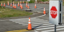 Transport department awaits Creecy to act on illegal driving schools