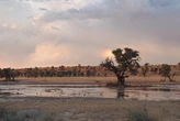Kgalagadi Transfrontier Park in NC records unusual 109 mm rain