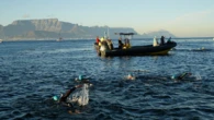 Robben Island swimmers raise over R600,000 for turtle conservation