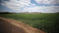 Orange river flood risk threatens crops and disrupts roads in NC