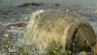 NWU researcher warns of pollution threat to Vaal River aquatic life