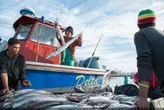 WC fishers say they are battling to survive with fishing exclusions