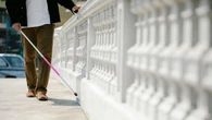 Limpopo steps up support for visually impaired with awareness drive