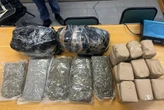 Gauteng police destroy drugs worth over R400 million