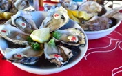 Oyster Festival big boost to Knysna’s economy