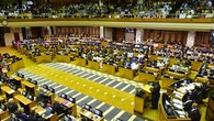 EFF denounces commission of inquiry as a delaying tactic