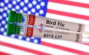 US reports first severe human case of bird flu