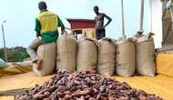 Ghana’s president-elect plans to reform cocoa sector