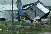 Gale-force winds wreak havoc in Garden Route, Little Karoo
