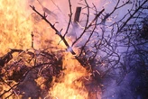 Limpopo farmers asked to be on high alert for fires