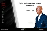 LIVE | Julius Malema’s firearm case sentencing: