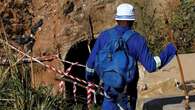 There is a syndicate at Sabie: Mining Expert