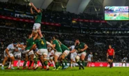 Springboks not taking win against Georgia for granted