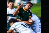 Porthen earns first Bok call-up for end-of-year tour
