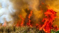 Fire destroys key grazing camp leaving Niani farmers reeling