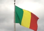 Mali arrests dozens in military who posed threat to govt: Sources