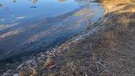 Danville residents face health risks as raw sewage flows into yards