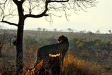 Mpumalanga renaming plan splits public opinion