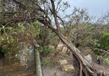 Three dead in Cape Town as severe winds and rainfall lash region