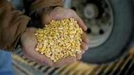 Economists expect agricultural boost in 2025