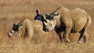 Race4Charity raises over R1.5 million for conservation, anti-poaching