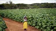 Zimbabwe to compensate farmers who lost their land