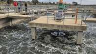 SA’s lack of wastewater management a concern: Expert