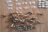 Suspect to appear in Mpumalanga court on drug charges