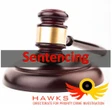 Man jailed for distributing pornographic fake images of SA leaders