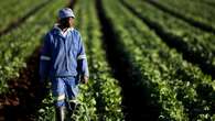 Pretoria to engage Washington on Expropriation Act: Lamola