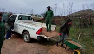 SANParks re-opens Silvermine trails post devastating fire
