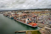 Portfolio Commitee urges government to continue tariff negotiations with US