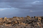 UAE plans compound for Palestinians in Israeli-held south Gaza