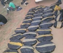 SAPS officers nabbed while escorting massive dagga haul in Mpumalanga