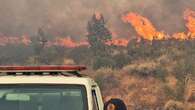 Emergency services on alert as Table Mountain park fires escalate