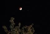 Rare total lunar eclipse set to dazzle SA skies tonight