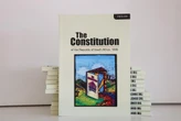 There is disjuncture between the constitution and lived reality: Nel